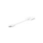 ROCKSTAR 3.5MM AUDIO+USB-C CHARGE ADAP ROCKSTAR 3.5MM AUDIO+USB-C CHARGE ADAP