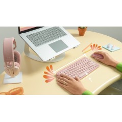 Pebble 2 Combo TONAL WHITE FR