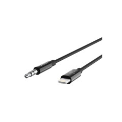 Lightning to 3.5 mm Audio Cable 3ft