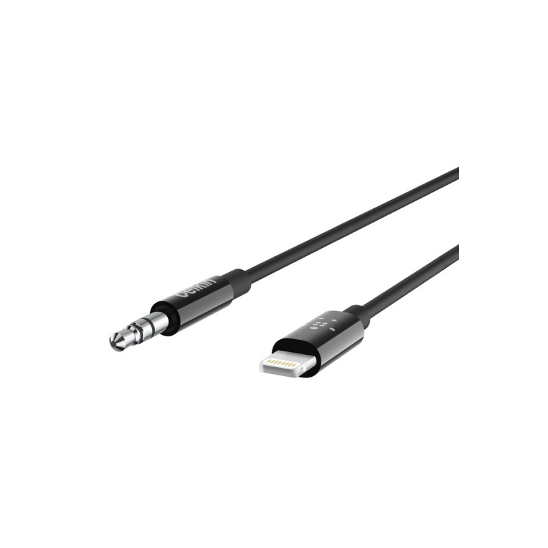 Lightning to 3.5 mm Audio Cable 3ft