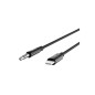 Lightning to 3.5 mm Audio Cable 3ft