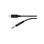 Lightning to 3.5 mm Audio Cable 3ft