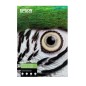 Epson C13S450275NQ papier jet d'encre A3+ (330x483 mm) Lisse 25 feuilles Multicolore Epson C13S450275NQ papier jet d'encre A3+ (330x483 mm) Lisse 25 feuilles Multicolore