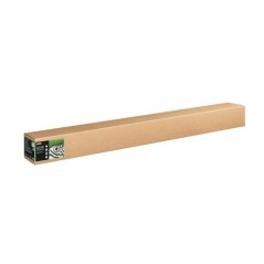 Epson C13S450273NQ papier rouleau 15 m 162,5 cm