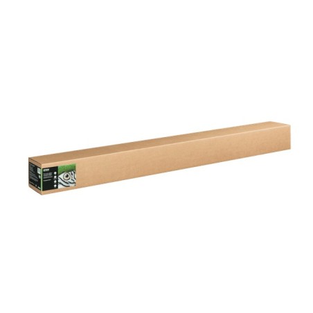 Epson C13S450273NQ papier rouleau 15 m 162,5 cm