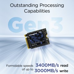 Integral INSSD256GM2230G3 disque SSD 256 Go M.2 PCI Express 3.0 NVMe TLC