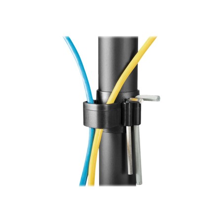 Neomounts FPMA-D550DD3BLACK