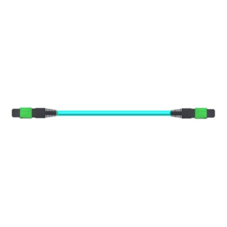 NVIDIA passive fiber cable MMF MPO12