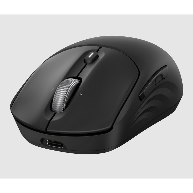 HP Souris sans fil rechargeable 705 HP Souris sans fil rechargeable 705