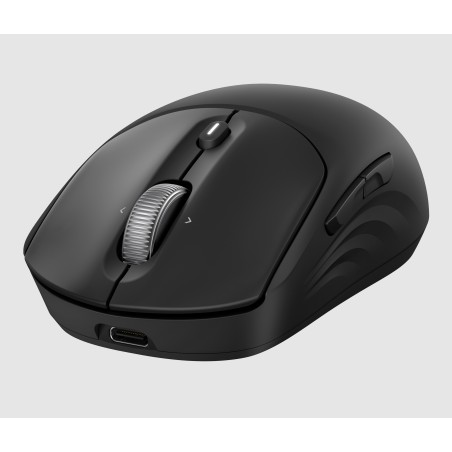 HP Souris sans fil rechargeable 705