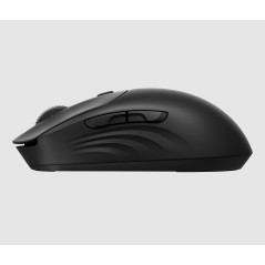 HP Souris sans fil rechargeable 705