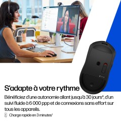 HP Souris sans fil rechargeable 705