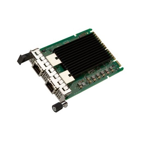 NIC/OCP up to 10Gb RJ45 x 2 Bulk