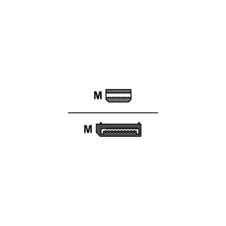 Mini-DisplayPort To DisplayPort Adapt 5
