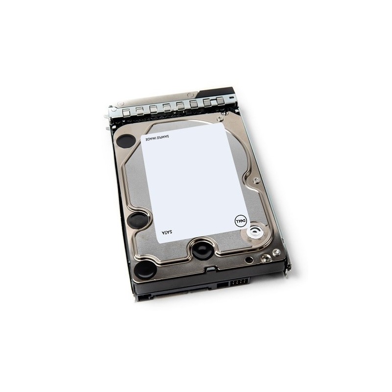 DELL 400-BRDL disque dur 12 To 7200 tr/min 3.5" Série ATA III