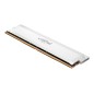 Crucial Pro OC 32GB DDR5-6000 UDIMM Wht