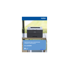 Brother HL-L2445DW imprimante laser 1200 x 1200 DPI A4 Wifi