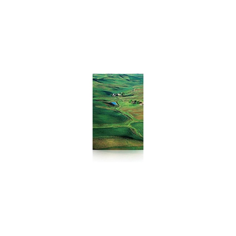 Epson Pap Photo Premium Semi-Glacé (250) 60" (1,524x30,5m)