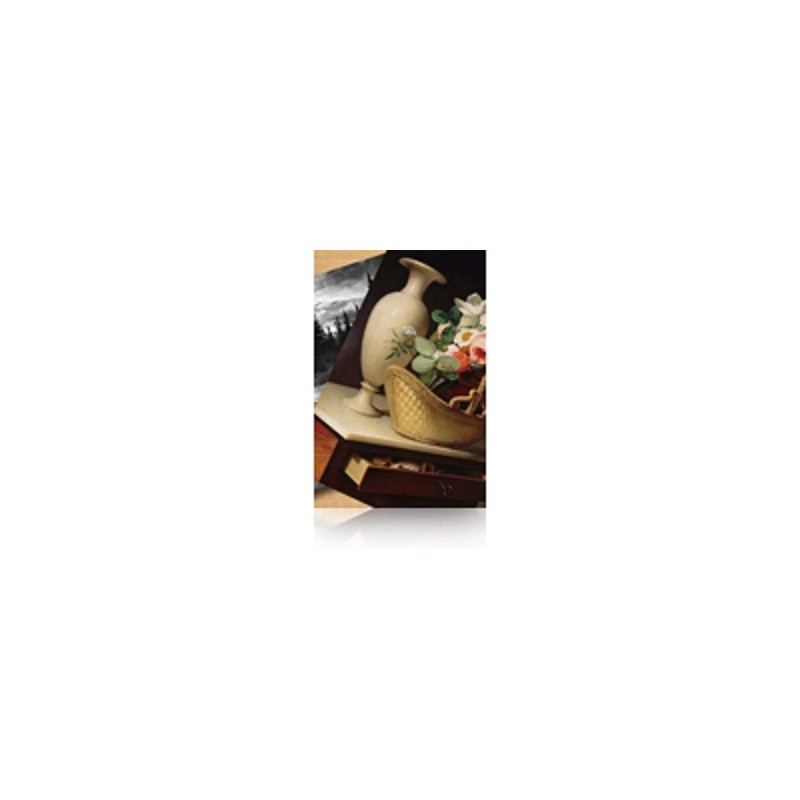 Epson Pap Photo Premium Lustré (260) 260g 60" (1,524x30,5m)