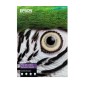 Epson C13S450283NQ papier jet d'encre A2 (420x594 mm) Finition texturée 25 feuilles Multicolore Epson C13S450283NQ papier jet d'encre A2 (420x594 mm) Finition texturée 25 feuilles Multicolore
