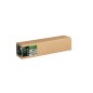 Epson C13S450271NQ papier rouleau 15 m 61 cm