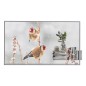 LG 55EW5P-M Écran d'affichage dynamique 139,7 cm (55") OLED 600 cd/m² Full HD Argent Écran tactile 18/7 LG 55EW5P-M Écran d'affichage dynamique 139,7 cm (55") OLED 600 cd/m² Full HD Argent Écran tactile 18/7