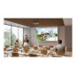 VPL-PHZ51 laser projector VPL-PHZ51 laser projector