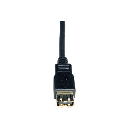 Eaton Tripp Lite Exte Cable A M/F 6ft
