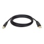 Eaton Tripp Lite USB 2.0 A/B Cable Eaton Tripp Lite USB 2.0 A/B Cable