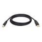 Eaton Tripp Lite USB 2.0 A/B Cable