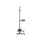 Mobile Workstation with Monitor Mount - Mobile Workstation with Monitor Mount -