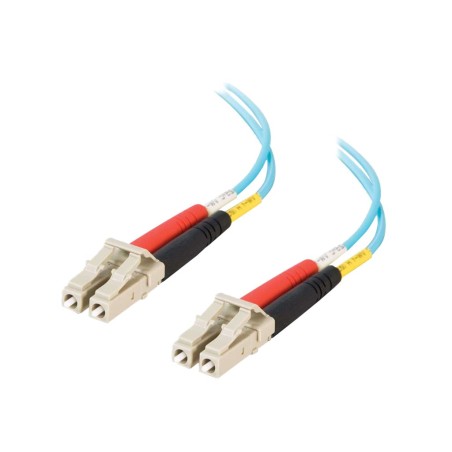 Cbl/1m LC/LC 10Gb LSZH Dplx 50/125 Fbr