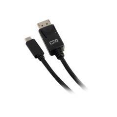 1ft .3m USB-C to DisplayPort Cable