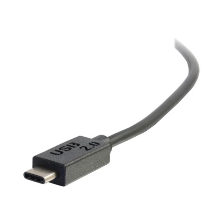 12ft USB 2.0 Type C Male to A Male