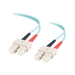 Cbl/1m SC/SC 10Gb LSZH Dplx 50/125 Fbr