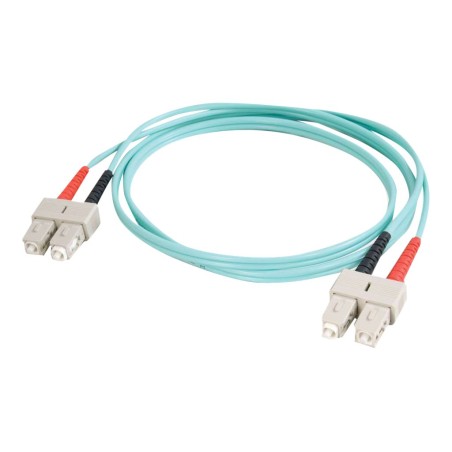 Cbl/1m SC/SC 10Gb LSZH Dplx 50/125 Fbr