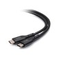1.5ft .5m USB 2.0 Type C Male-C Male 5a