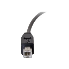 6ft USB 2.0 Type C to Standard B