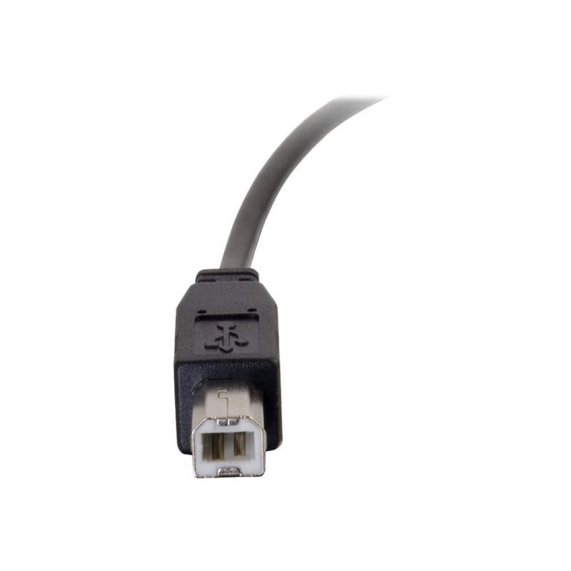 6ft USB 2.0 Type C to Standard B