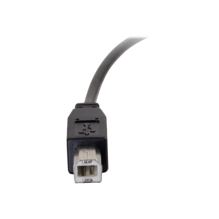 6ft USB 2.0 Type C to Standard B