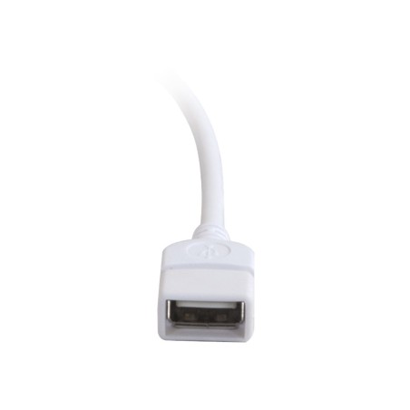 Cbl/2m USB A/A EXT