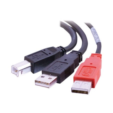 Cbl/2m USB 2.0 2 AM/MINI-B M Y-CBL Black
