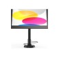 iPad 10th-11th A16 Flex Arm Mo -Black