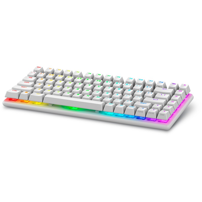 Alienware Pro Wireless Gaming Keyboard clavier USB + RF Wireless + Bluetooth Blanc Alienware Pro Wireless Gaming Keyboard clavier USB + RF Wireless + Bluetooth Blanc