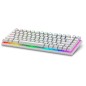 Alienware Pro Wireless Gaming Keyboard clavier USB + RF Wireless + Bluetooth Blanc Alienware Pro Wireless Gaming Keyboard clavier USB + RF Wireless + Bluetooth Blanc