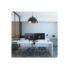 LX Dual Side-by-Side Arm Matte Black