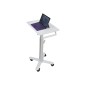Ergotron Styleview S-Tablet Cart/SV10 Ergotron Styleview S-Tablet Cart/SV10