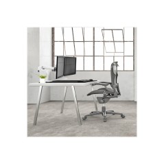 LX Desk Dual Direct Arm Bright White