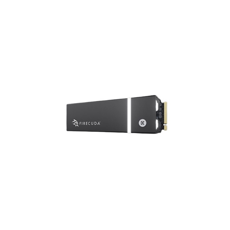 Seagate ZP1000GM3A014 disque SSD 1 To M.2 PCI Express