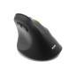MOUSE ERGO RECHARG BTH RIGHT HAND